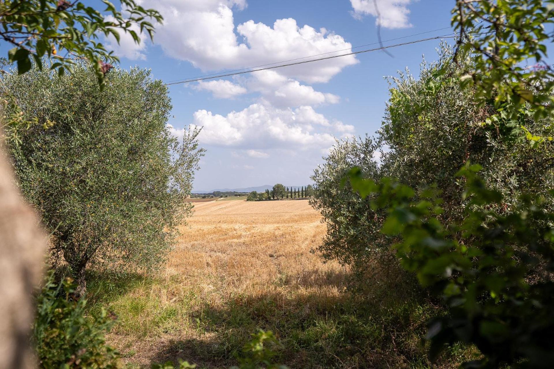 הוילה Petrignano Del Lago Fontarcella, Heart & Roots מראה חיצוני תמונה