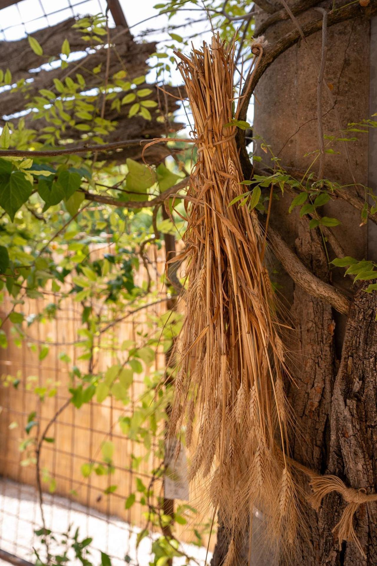 הוילה Petrignano Del Lago Fontarcella, Heart & Roots מראה חיצוני תמונה